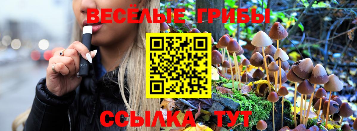 Псилоцибиновые грибы Cubensis Белово